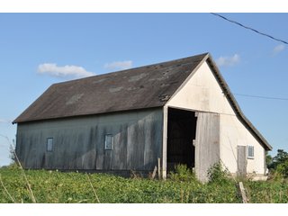 Property photo 2 - 204.5 +/- Acres Offered in 3 Tracts - Farmland Auction